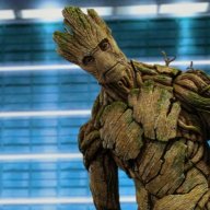 Groot1
