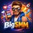 bigsmm